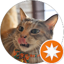 志祁 profile picture