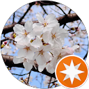 A y a profile picture